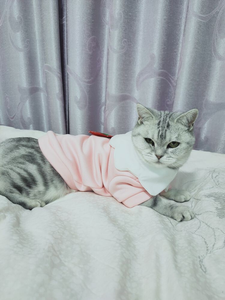 馨小艺🎀吉祥如艺的图片