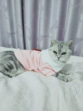 馨小艺🎀主播照片