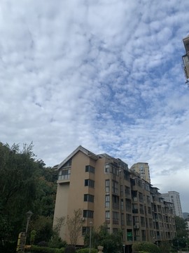 夏至🌸主播照片