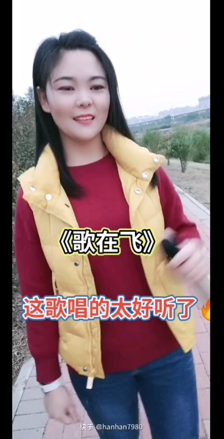 歌在飞