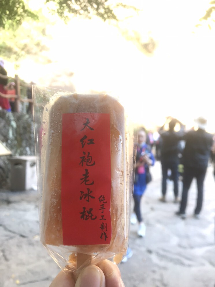 茶茶幸运星的图片