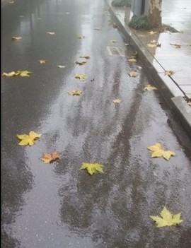 蓝微微主播照片