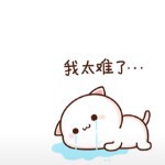 爱吃屎的狗🐶