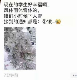 鑫儿～主播照片