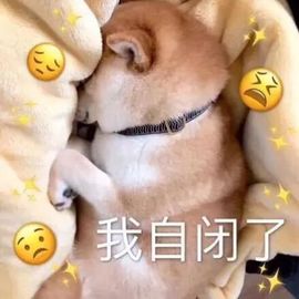 鑫儿～主播照片