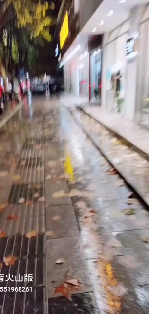 落满梧桐树叶的街道，