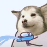 一只小福星