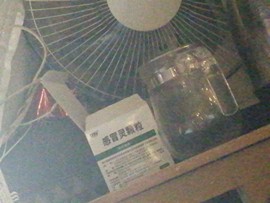 花树茶主播照片