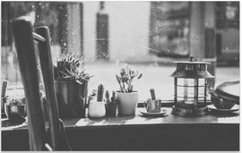 雪菜♫好运好运旺的图片