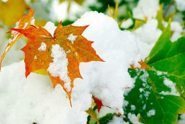 拾月★October主播照片