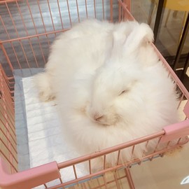 参会人数主播照片