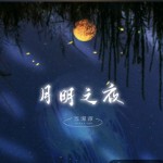 明月之夜.