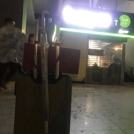 茶茶腰疼休息一晚的图片