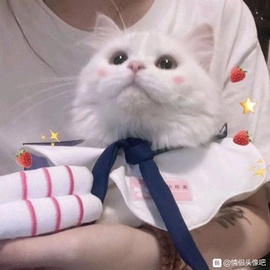 天蓝之云👼迟之永恒主播照片