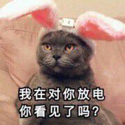 華哥🆚红蓝战士主播照片