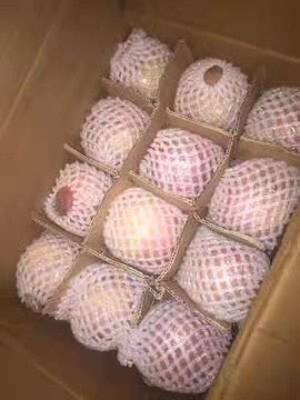 一秒钟の记忆主播照片