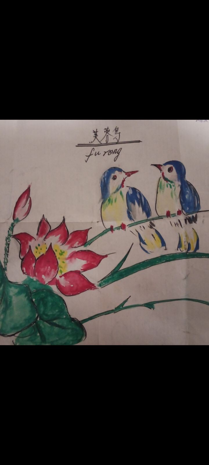 🈚&的主播照片
