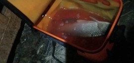 👉印第安老斑鸠👈主播照片