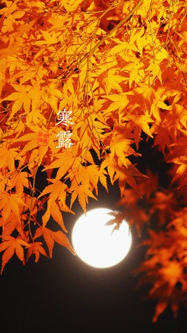 超持久“桑拿天”来了主播照片