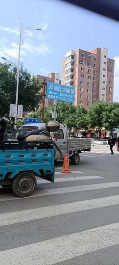 ♛飞扬☞ℒ☜跋扈♛主播照片