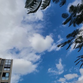 嘿暂离主播照片