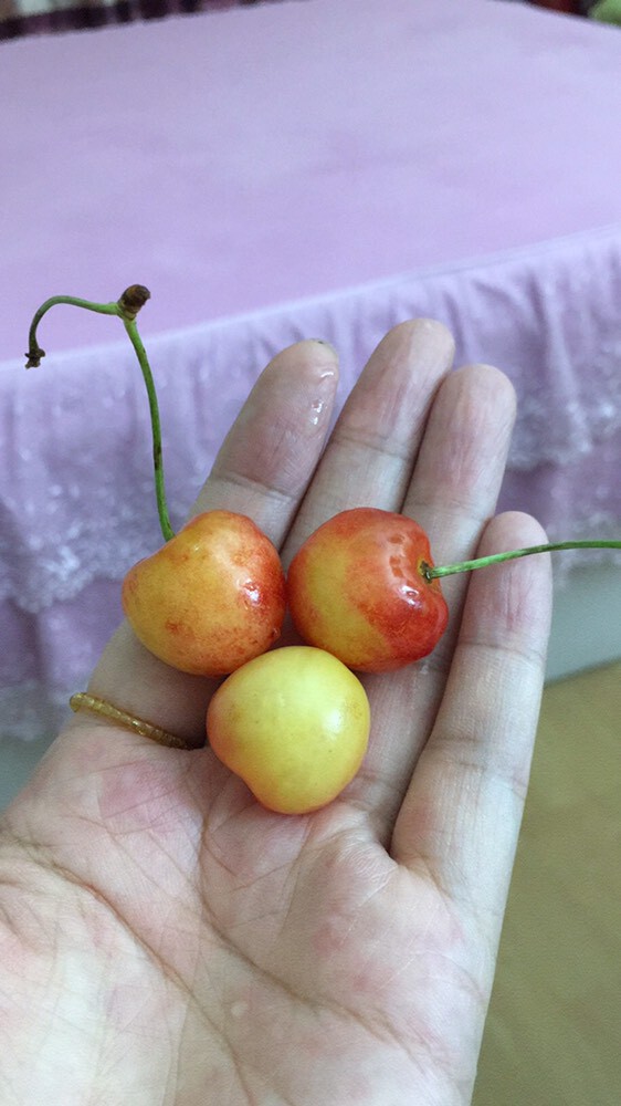 社会💞夭夭（退）的图片