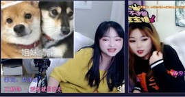 小海屯🐬李主播照片