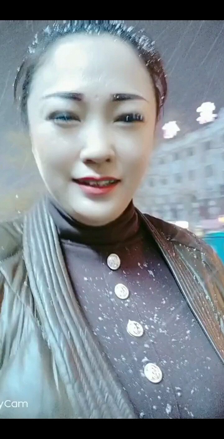 飘雪的季节更想你