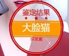 雯雯退主播照片