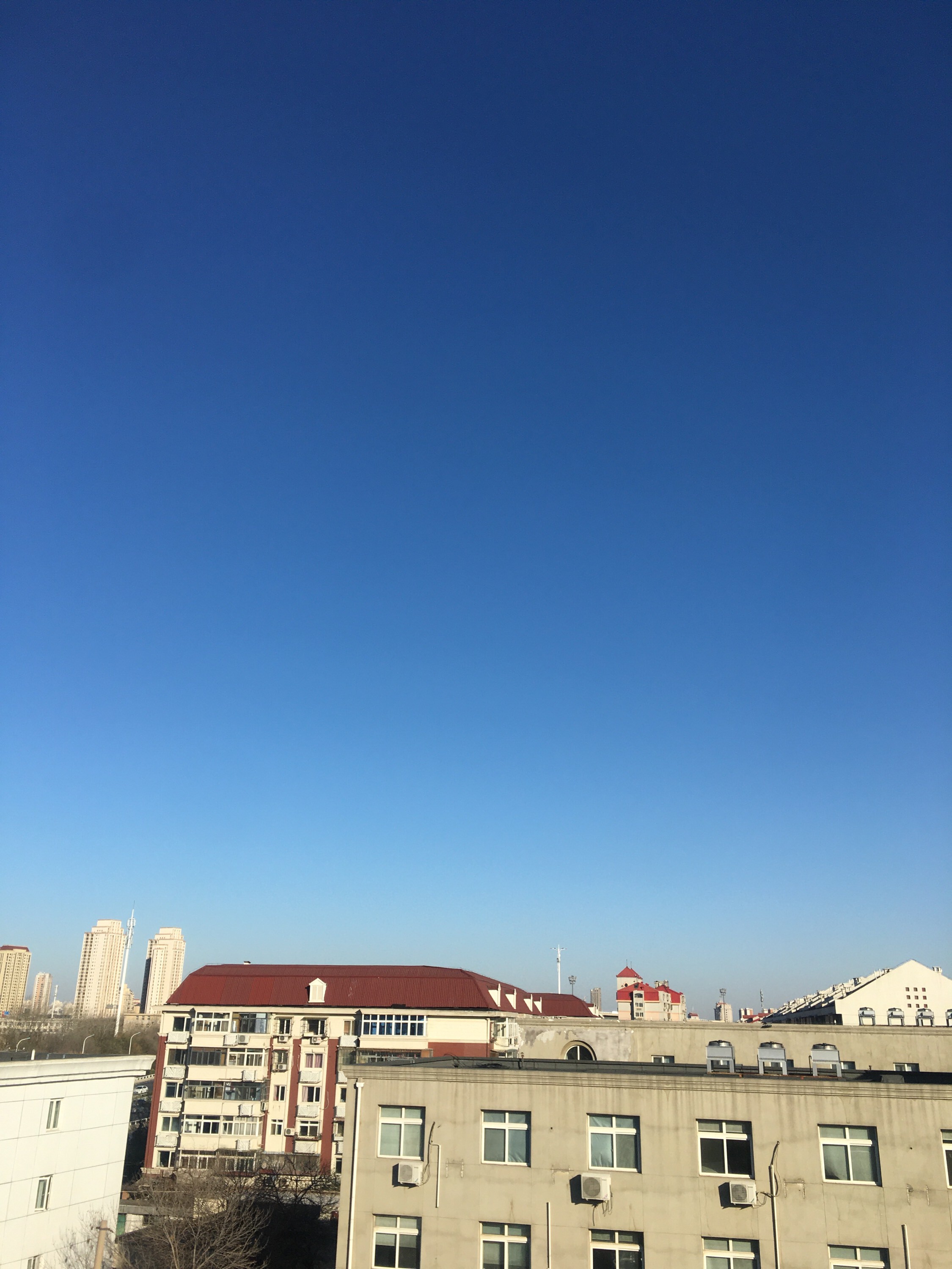 社会💞夭夭（退）的图片