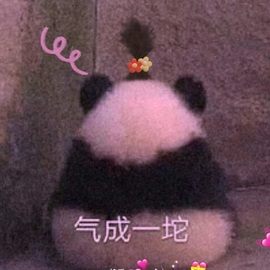 肥肥小豆芽😈退了主播照片