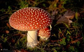 დ释怀დ主播照片