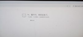 喵崽小花猫主播照片
