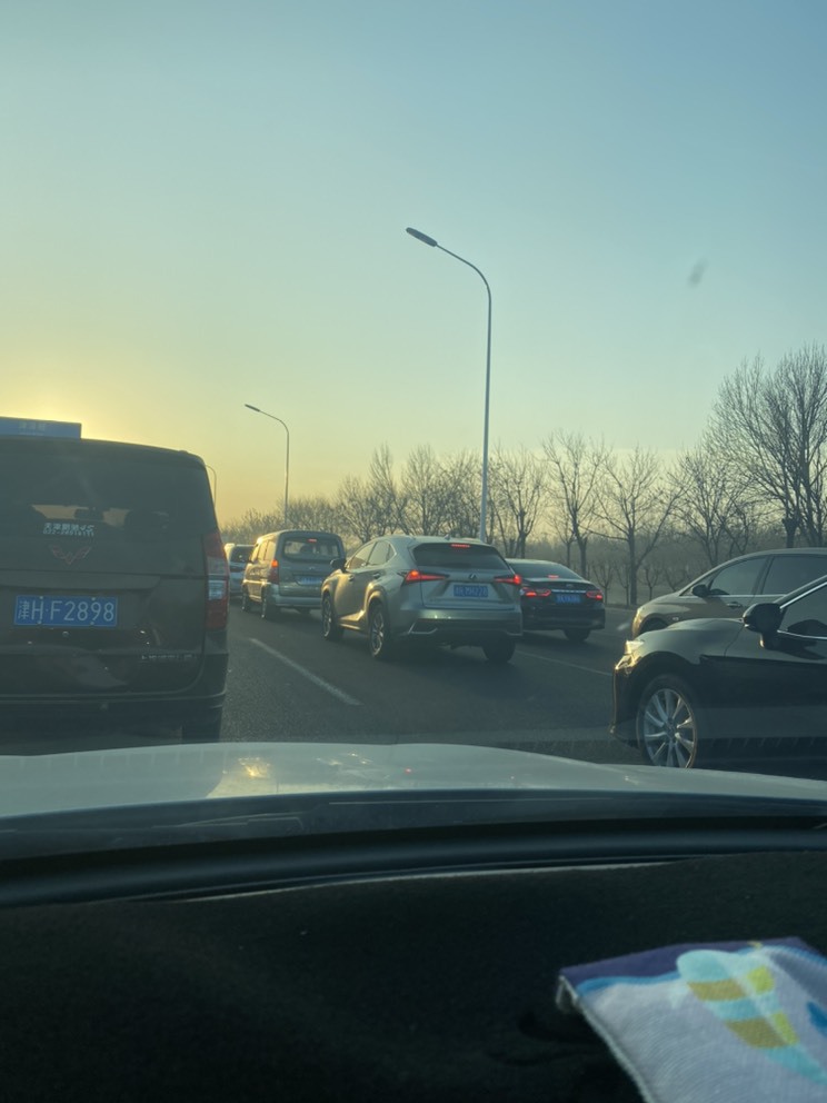 佳琦佳期的图片