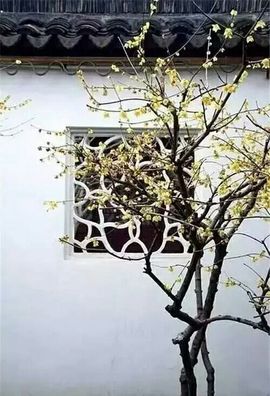 超持久“桑拿天”来了主播照片