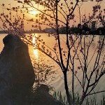 昵称违规，请从修改海报