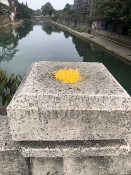 小艾回湖北不定时播主播照片