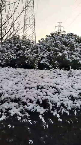 凑美没人爱主播照片
