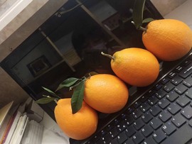 凑美没人爱主播照片