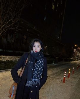 红墙白雪确实喜欢的图片
