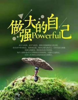 新人茹梦暂休主播照片