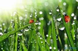 ～小幸福～主播照片