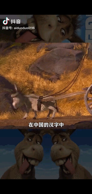 这还减神马减