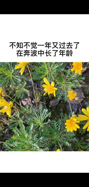 时光匆匆，珍惜眼前的