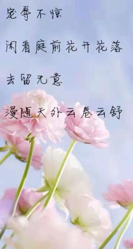 高山上的雪！！主播照片