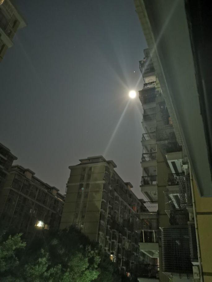 ✨换号的主播照片