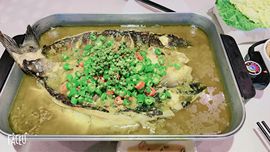 ♬♪百音百顺♪♬主播照片