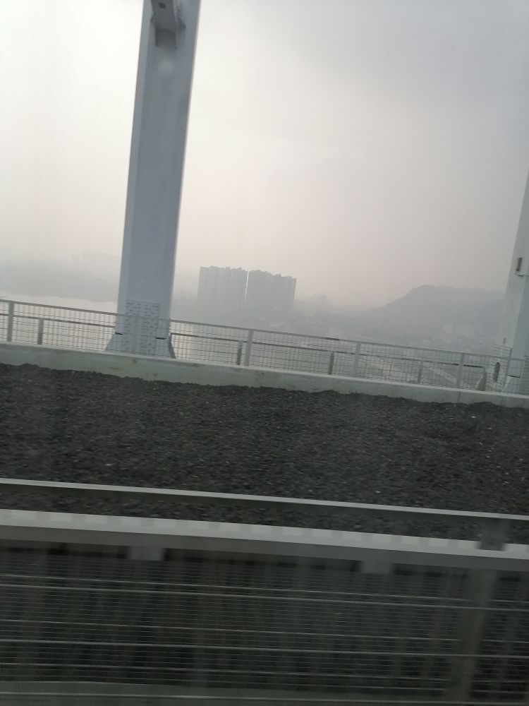 柔月娇花的主播照片