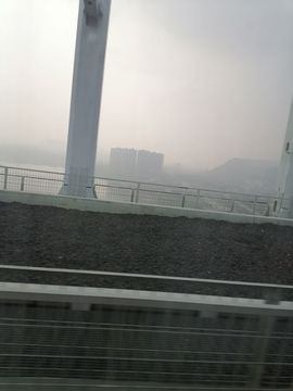 柔月娇花主播照片