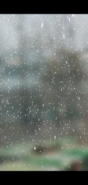 你那里下雪了吗/胜利